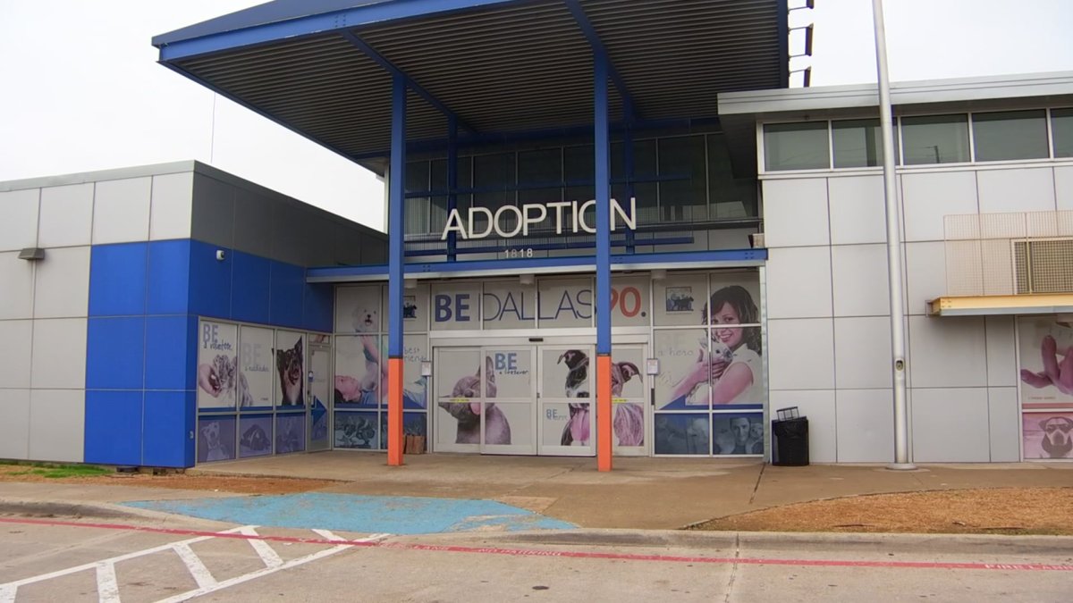 Dallas Animal Services extends adoption hours on longest day of the year