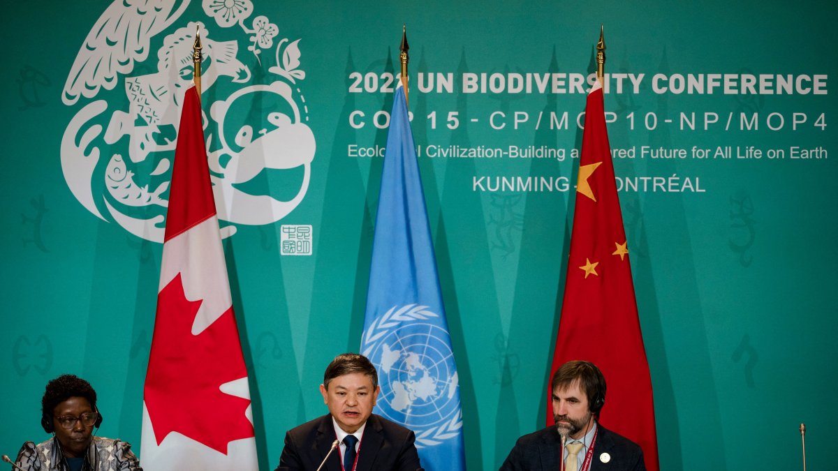 Global Agreement to Protect 30% of Important Biodiversity Reached at U.N. Conference
