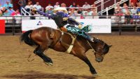 Fort Worth Stock Show & Rodeo 2023