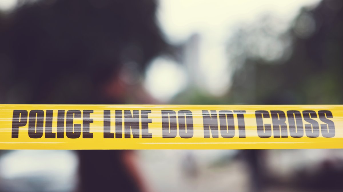 7-Year-Old Girl Mauled to Death by Neighbor's Pit Bull in Louisiana – NBC 5 Dallas-Fort Worth - Vimarsana News