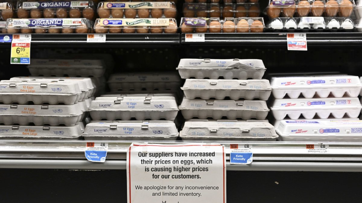 Egg Prices Rose 60% in 2022. One Farm Group Claims 'Foul Play' by Suppliers – NBC 5 Dallas-Fort Worth - Vimarsana News
