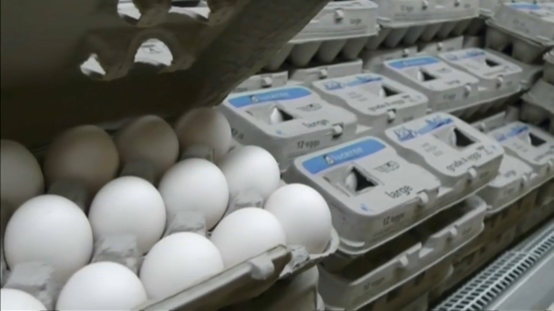 Egg Price Predictions: How Much Will Your Eggs Cost in 2022?
