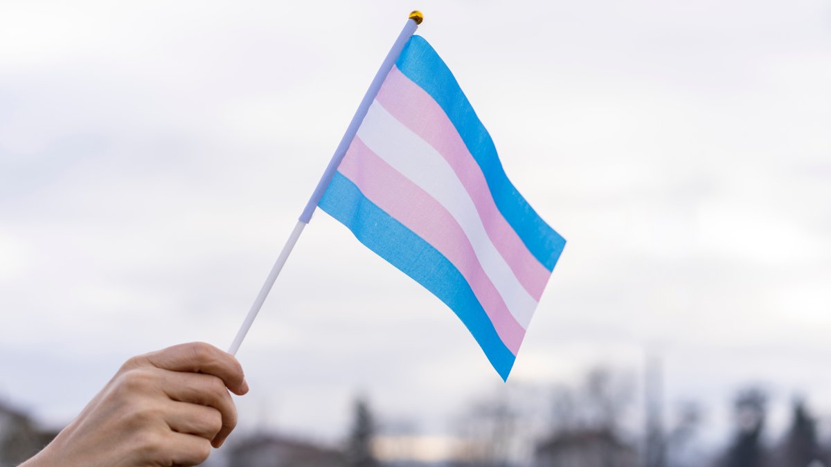 Rulings in Texas, Missouri jumble again where US transgender youth can receive treatment