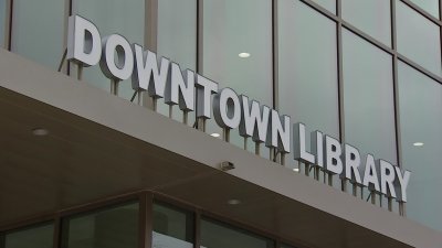 Head of Arlington's Library Advisory Board Removed From Position