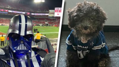 Dallas Cowboys Running Dog Costume