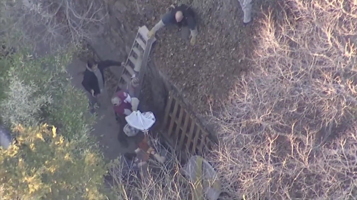 Investigation Underway Into Dallas Zoo Animal Escape – NBC 5 Dallas