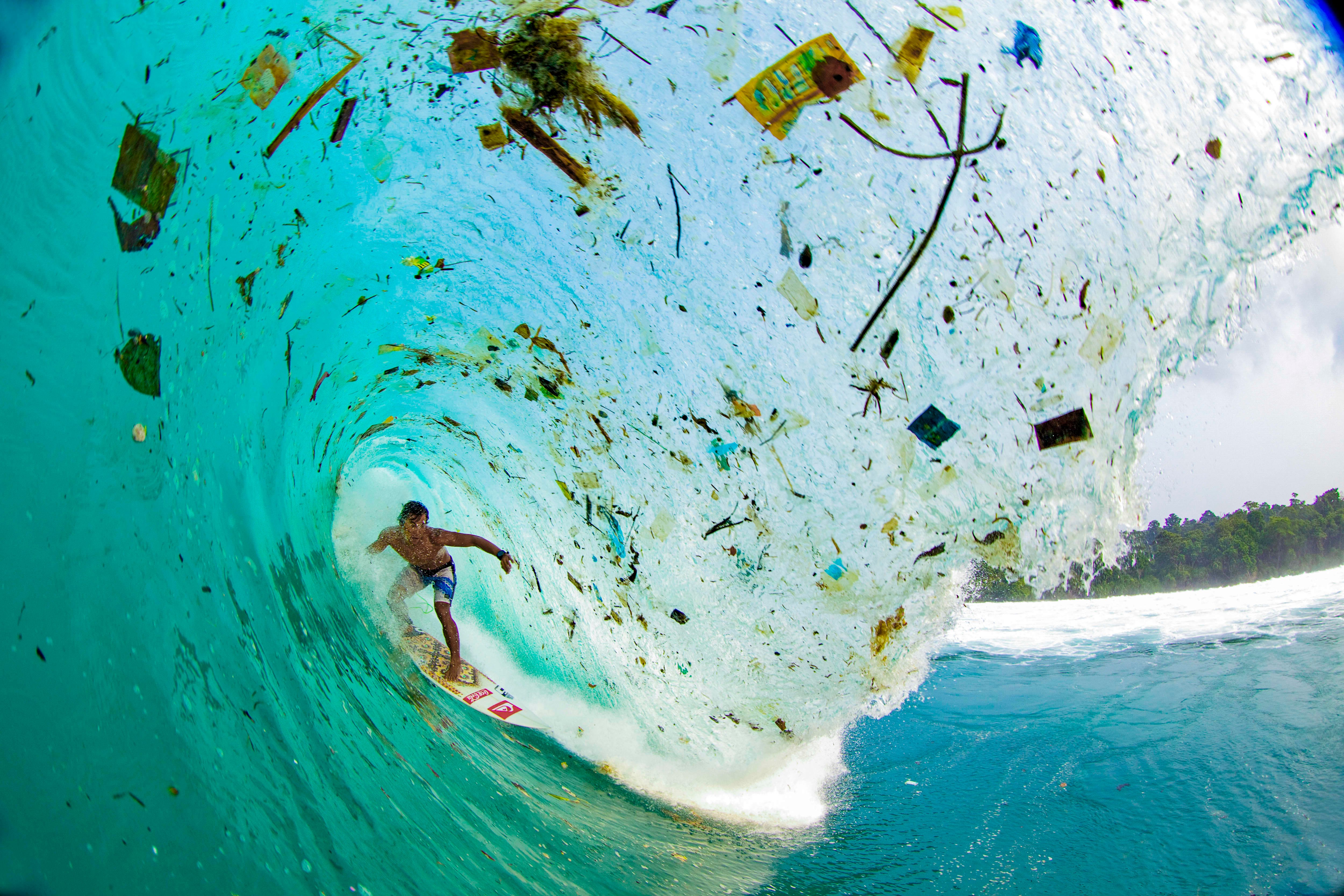 Cruz Foam Makes Styrofoam Alternative From Shrimp Shells and Food Waste - Vimarsana News