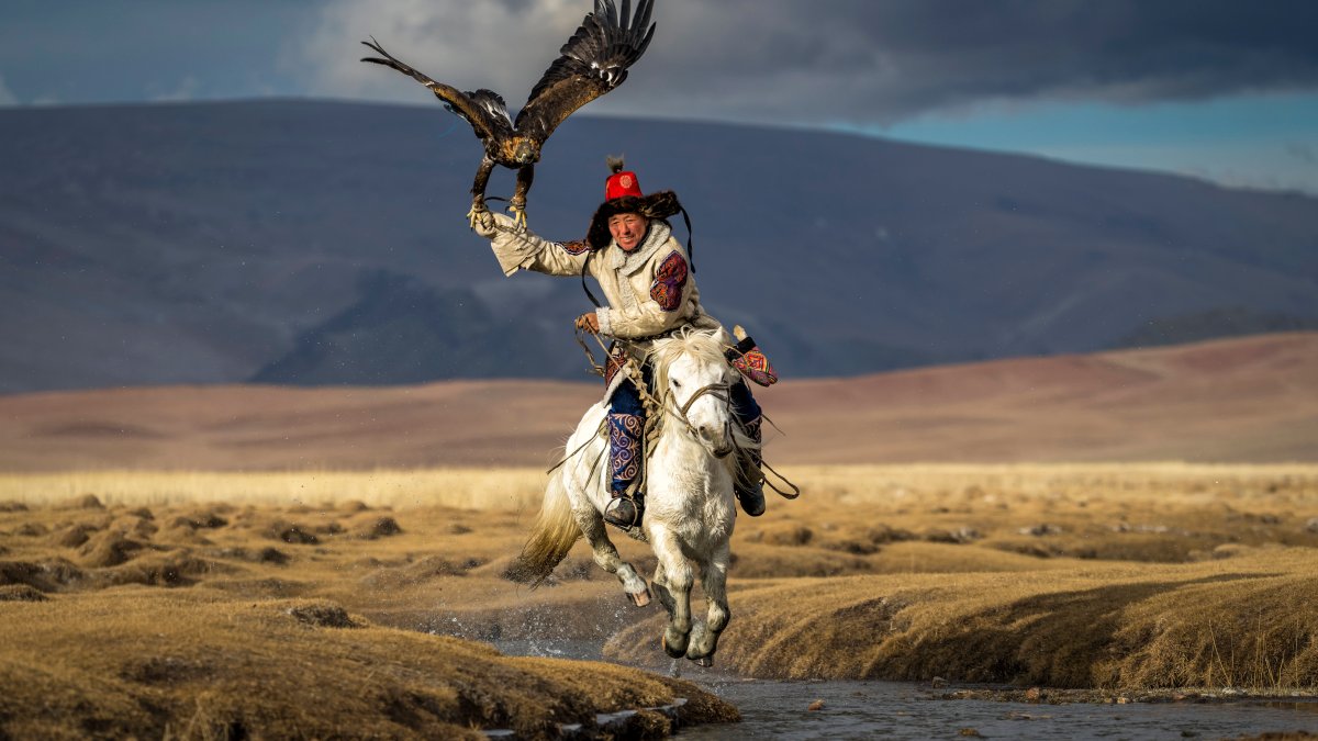 See the Photos That Won National Geographic's 'Pictures of the Year' Contest – NBC 5 Dallas-Fort Worth - Vimarsana News