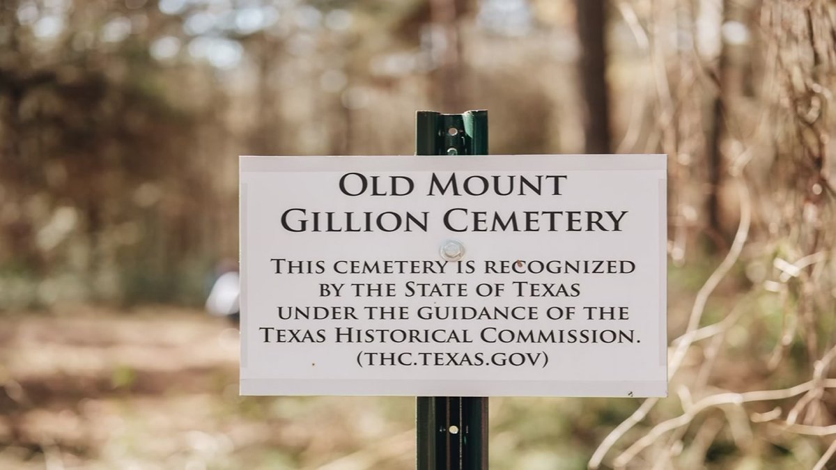 Dallas Art Exhibition Uncovers Family History Buried in Cemetery – NBC 5 Dallas-Fort Worth - Vimarsana News
