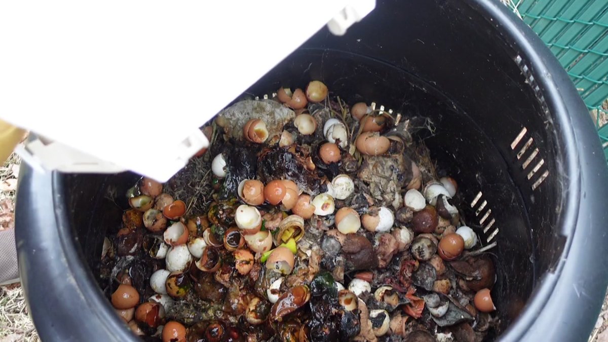 How to Set Up an AtHome Compost System NBC 5 DallasFort Worth