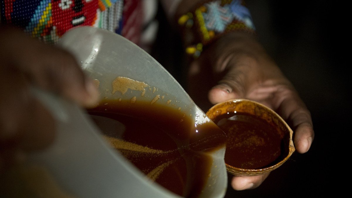 What Is Ayahuasca? Treatments, Legality, Side Effects and More – NBC 5 Dallas-Fort Worth - Vimarsana News