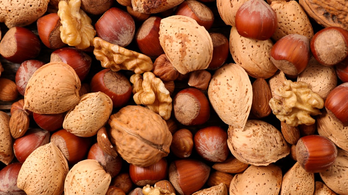 Emergency Doctors Share 7 Longevity Foods They Eat to Stay 'Healthy, Full and Energized' Every Day – NBC 5 Dallas-Fort Worth - Vimarsana News