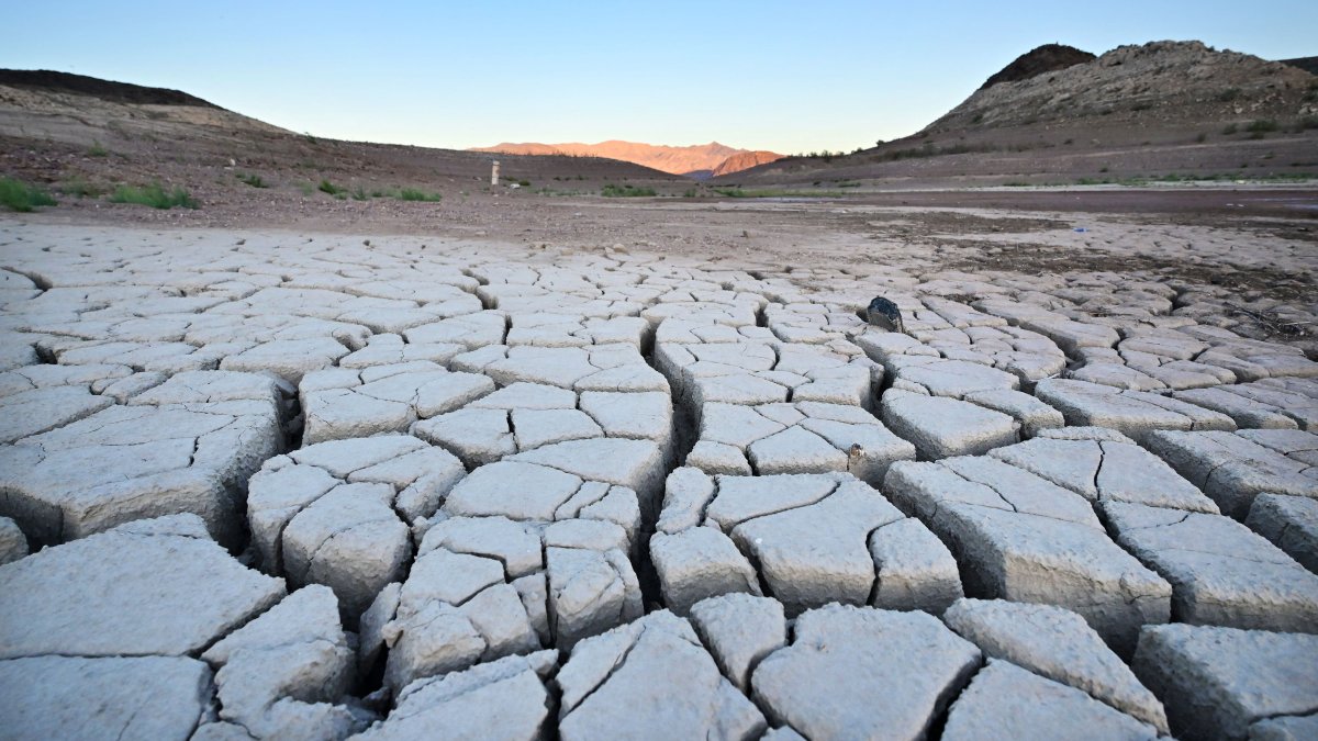 Risky Feedback Loops Are Accelerating Climate Change, Scientists Warn - Vimarsana News