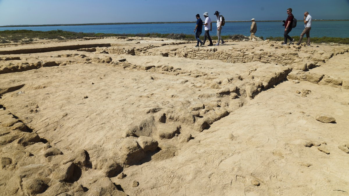 Archaeologists Find Oldest Pearl Town in Persian Gulf – NBC 5 Dallas-Fort Worth - Vimarsana News