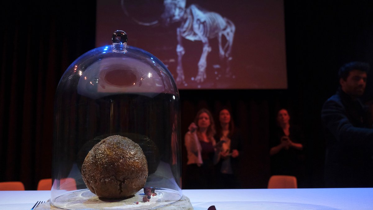 Startup Unveils Meatball Made With Mammoth DNA – NBC 5 Dallas-Fort Worth - Vimarsana News
