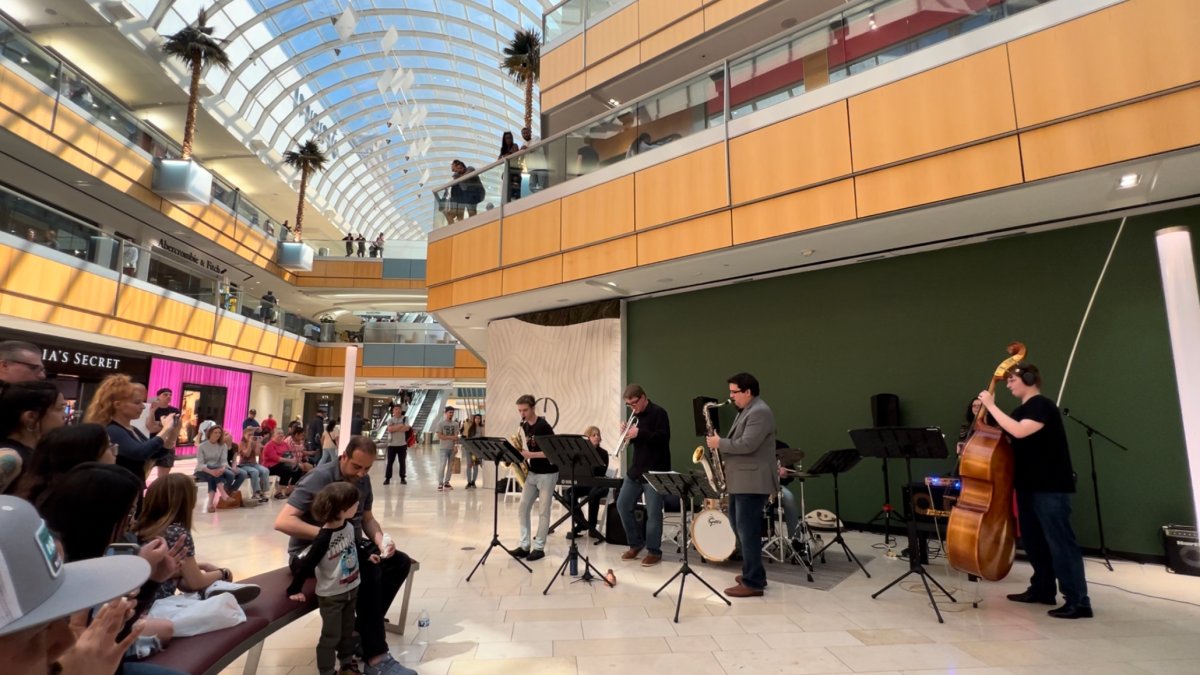 Local Youth Orchestra Celebrates Big Donation With Free Community Concert - Vimarsana News