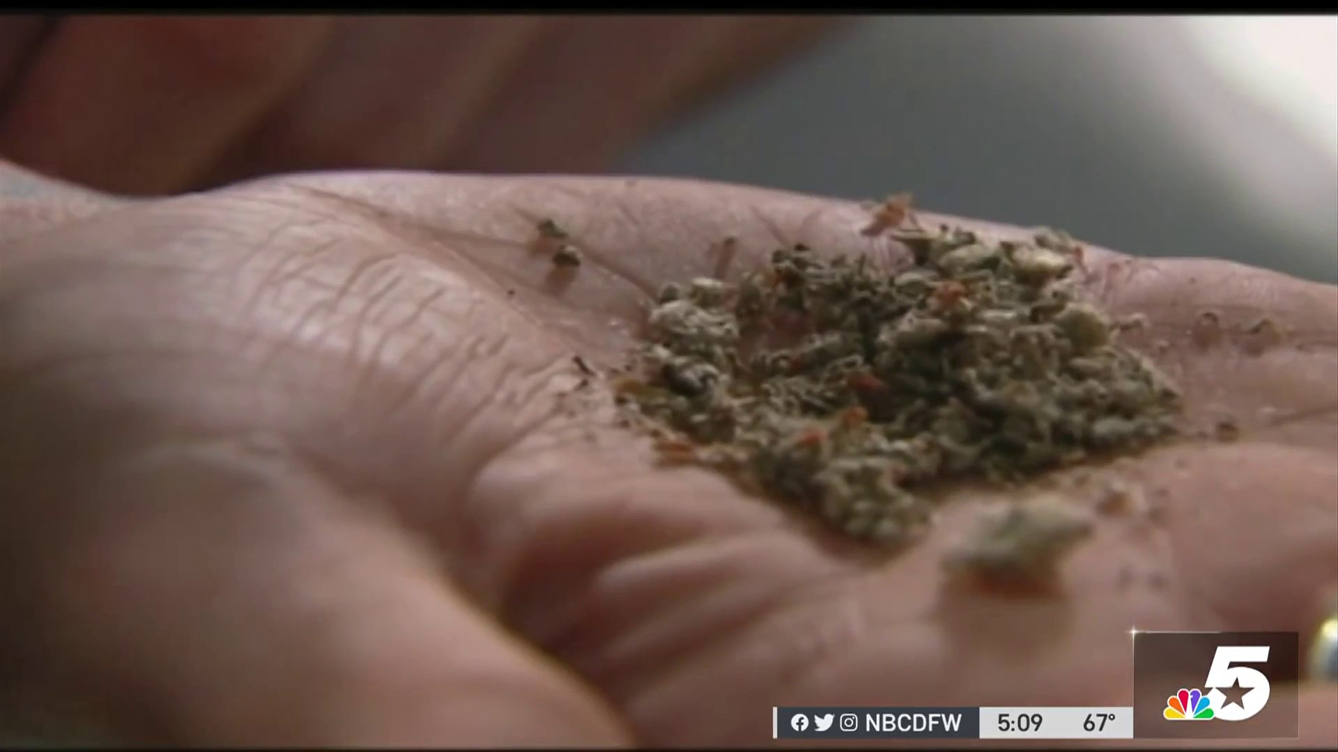 4 deaths in Texarkana blamed on synthetic marijuana