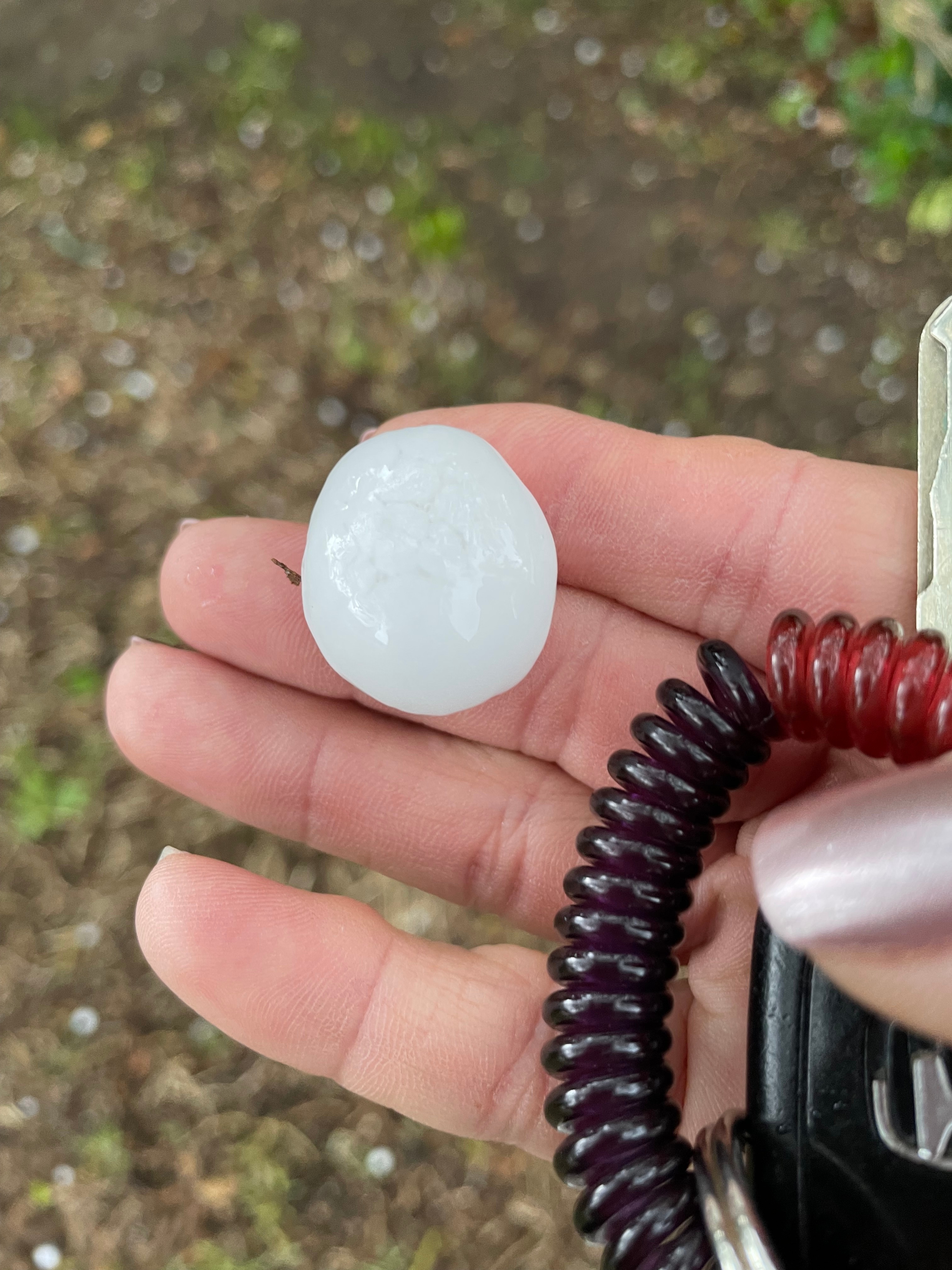 Hail in Hurst about 4 pm!