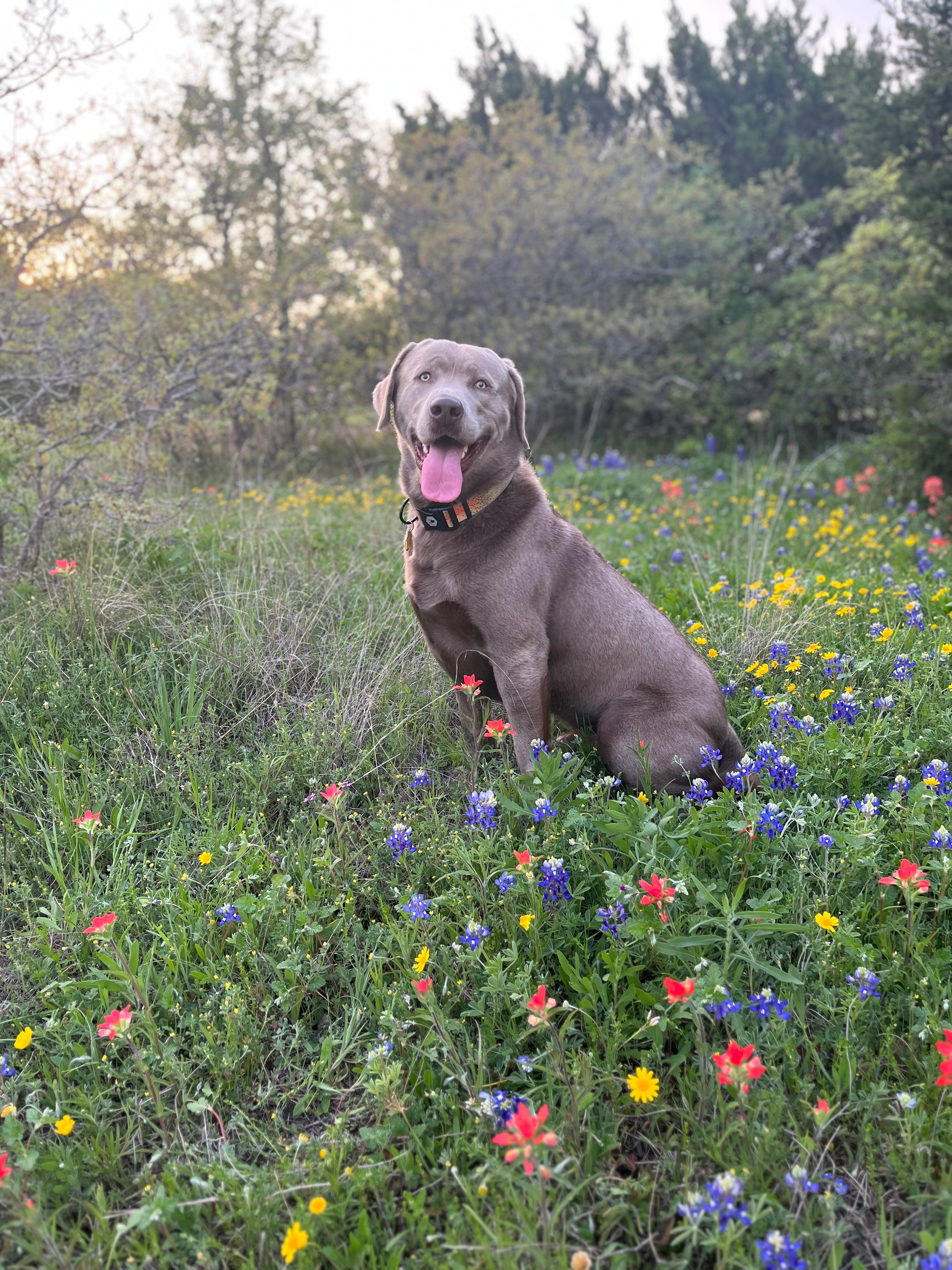 Blanton from Aledo