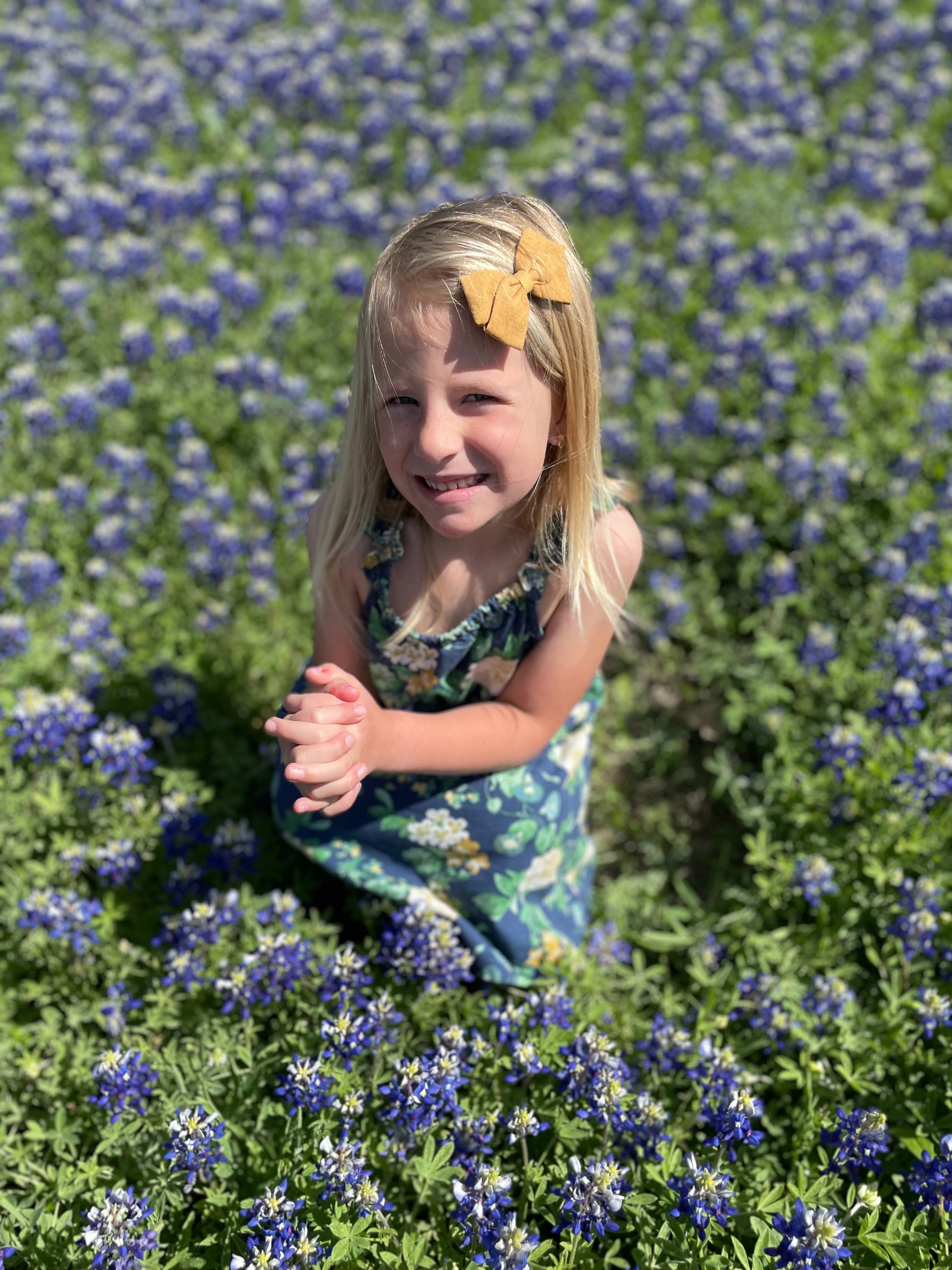 [tint-NBC_DFW] [EXTERNAL] Bluebonnets