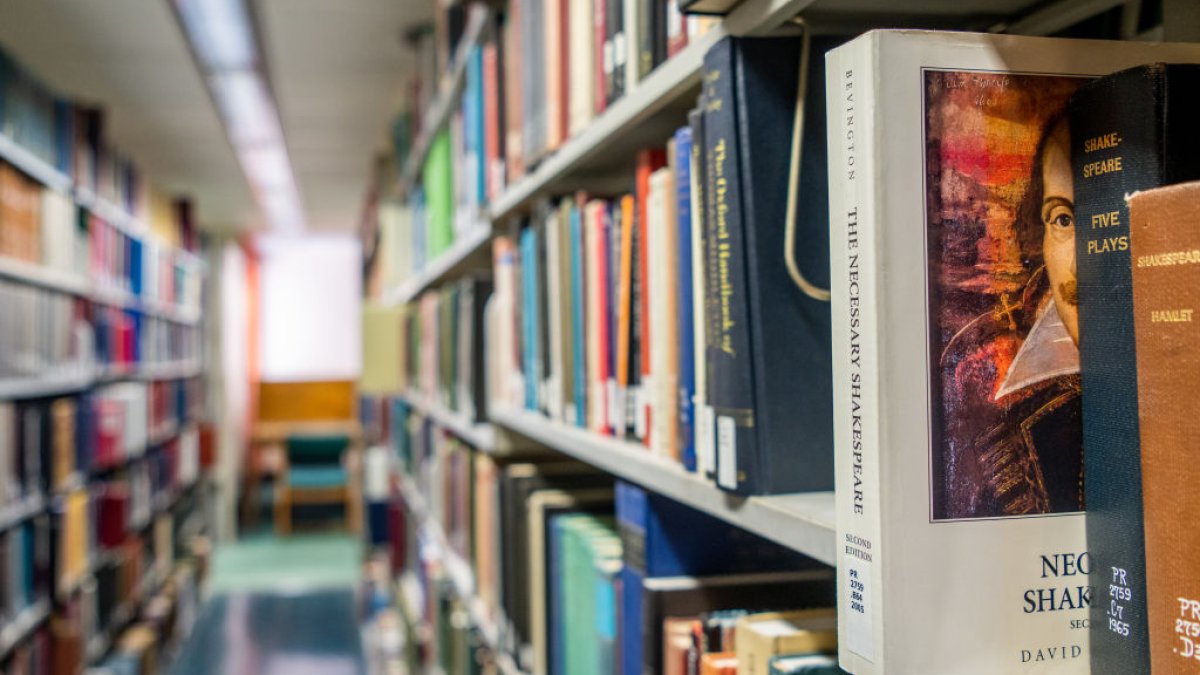 Llano County Decides to Put Banned Books Back in Circulation After Judge Order – NBC 5 Dallas-Fort Worth - Vimarsana News