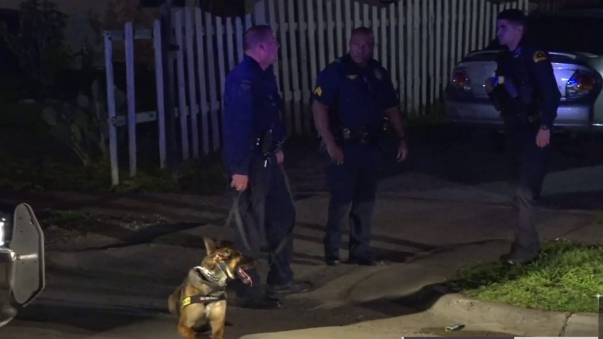 Dallas Police to Provide Update on Officer, K9 Shot Last Week NBC 5