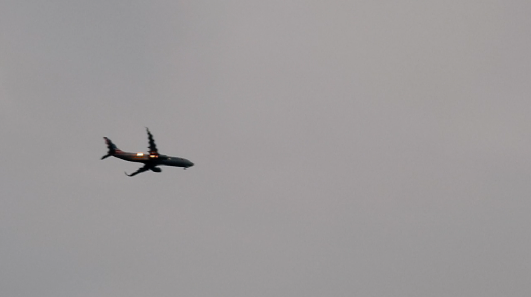 Bird Strike Sparks Plane Engine Fire Shortly After Takeoff NBC 5