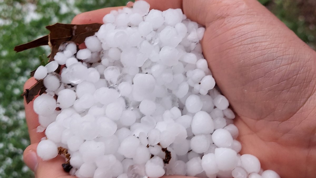 Your Hail Photos – April 28, 2023 - Vimarsana News