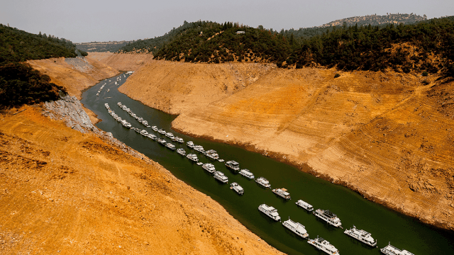 See Photos of California Reservoirs Before and After Historic Storms – NBC 5 Dallas-Fort Worth - Vimarsana News