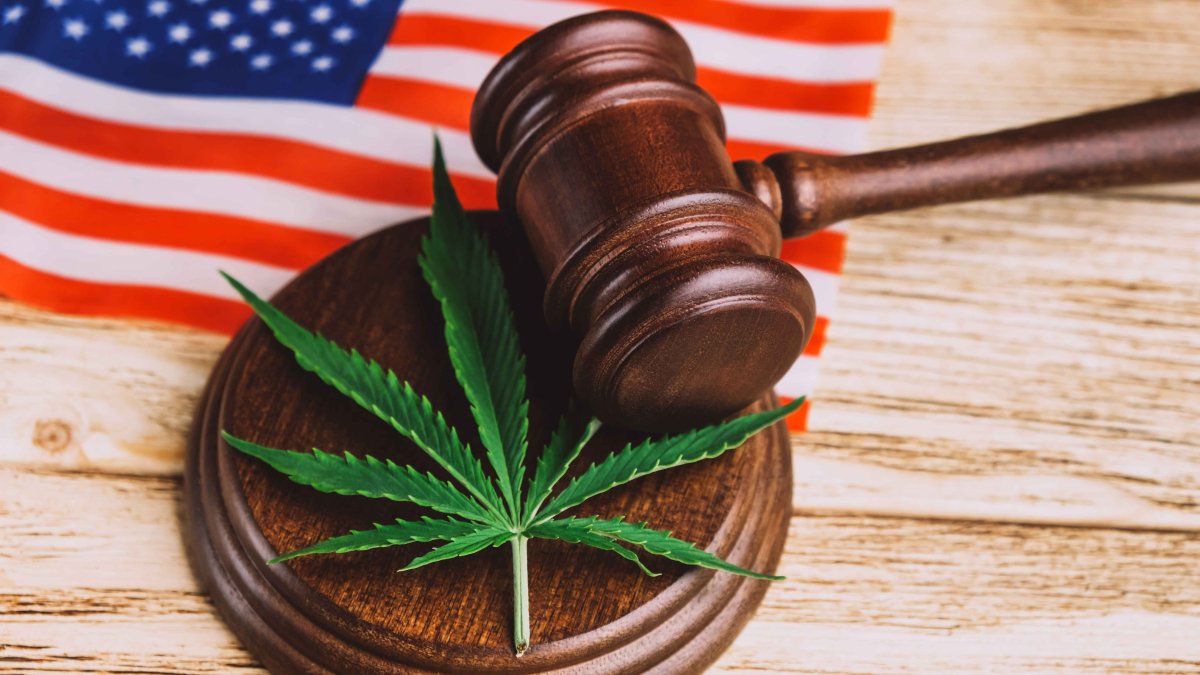 Here Are All the States That Have Legalized Weed in the US – NBC 5 Dallas-Fort Worth - Vimarsana News