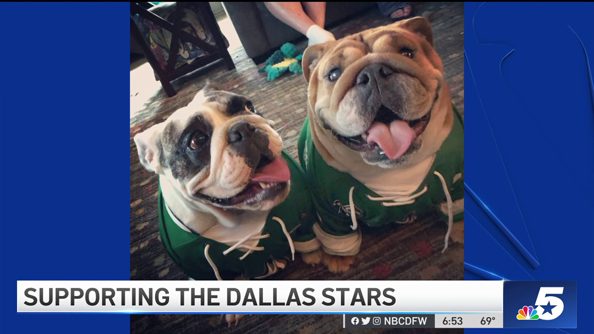 Stars Fan Photos 2023 – NBC 5 Dallas-Fort Worth