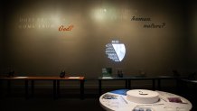 Interactives let visitors test their knowledge about freedom.