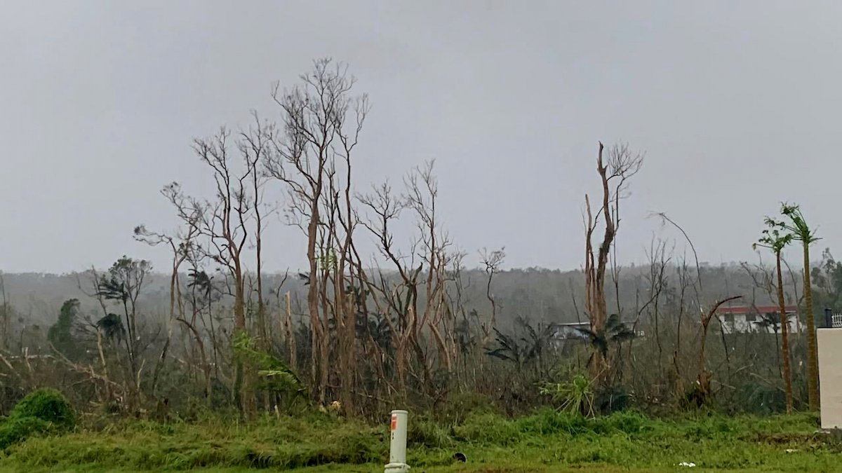 Typhoon Mawar Leaves Path of Destruction in Guam – NBC 5 Dallas-Fort Worth - Vimarsana News