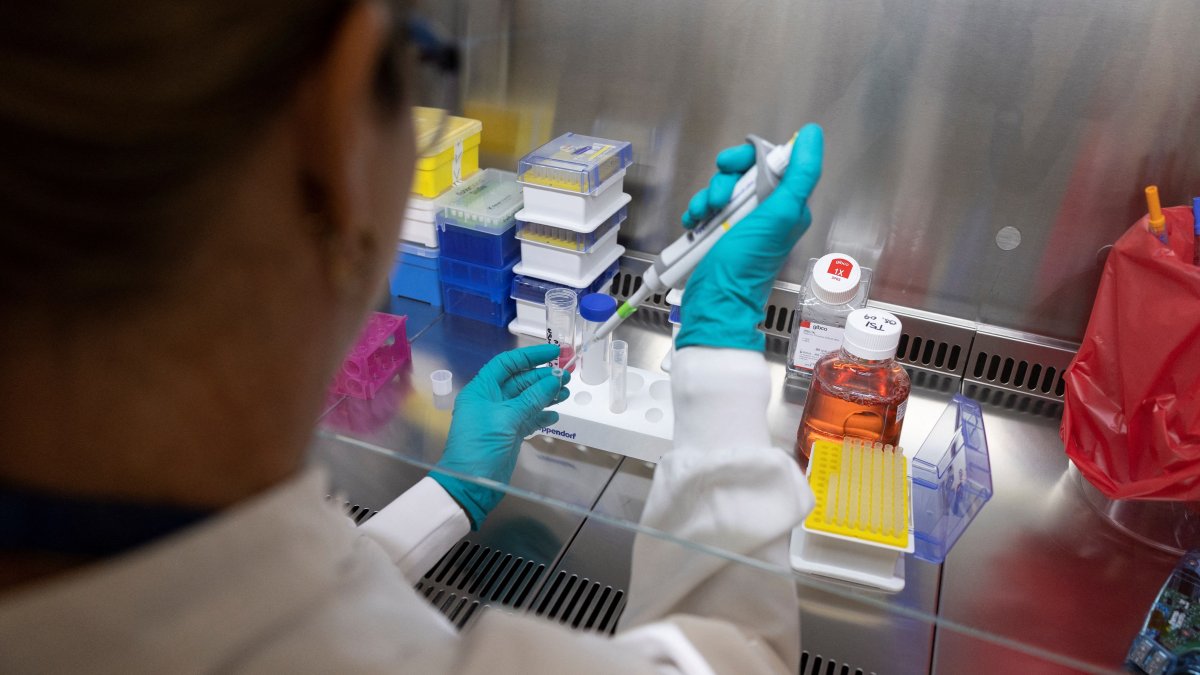 Texas Scientists Fear DEI Bill Could Cost Research Dollars - Vimarsana News