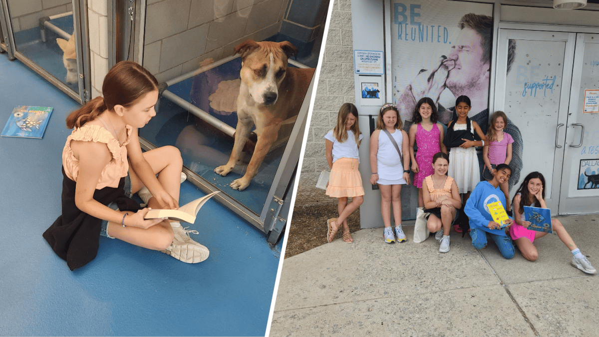 Volunteers Read Books to Dogs at Dallas Animal Shelter – NBC 5 Dallas ...