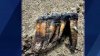 ‘An Extremely Important Find': Ancient Mastodon Tooth Found on Calif. Beach