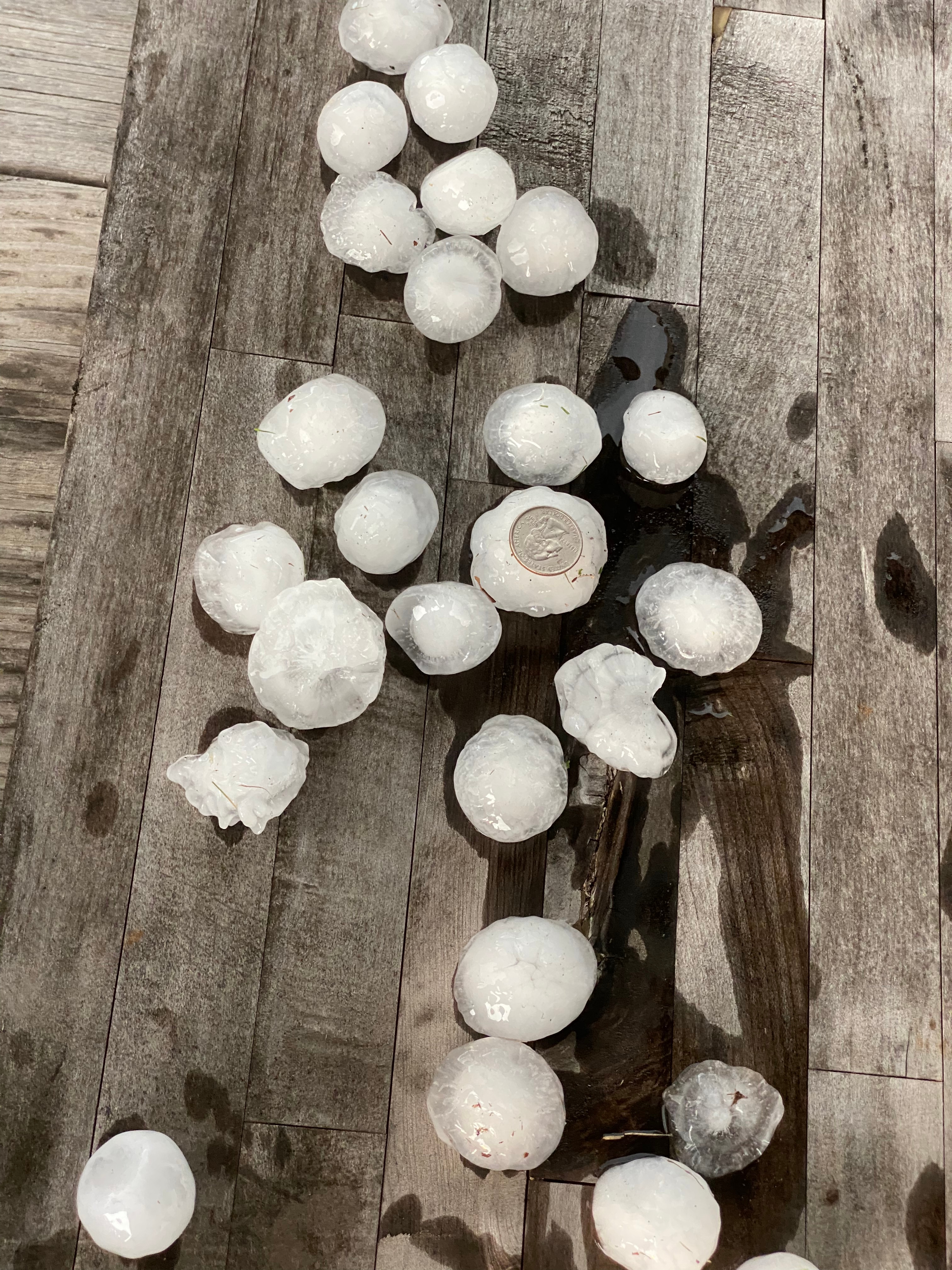 Examples of hail that fell in Fate, Tx at 7:30 6/11/2023