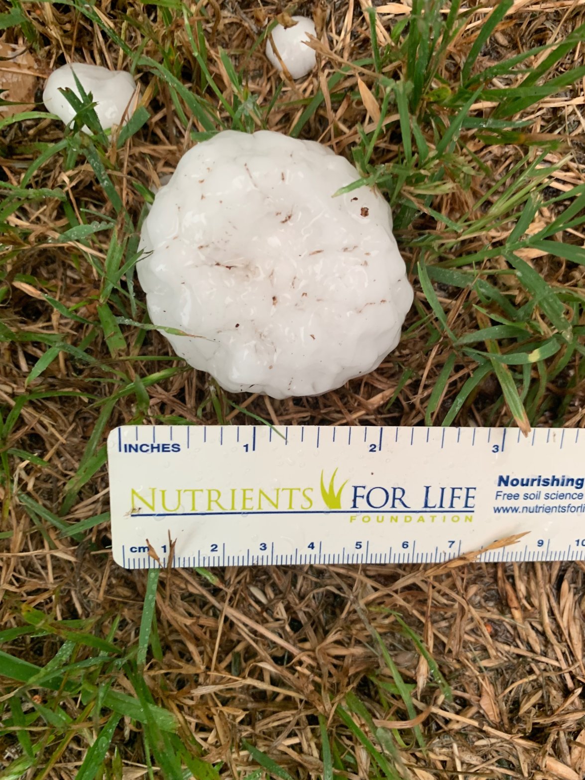 Three Inch Hail North Texans share hail pictures in Dallas-Fort Worth Sunday – NBC 5 ...