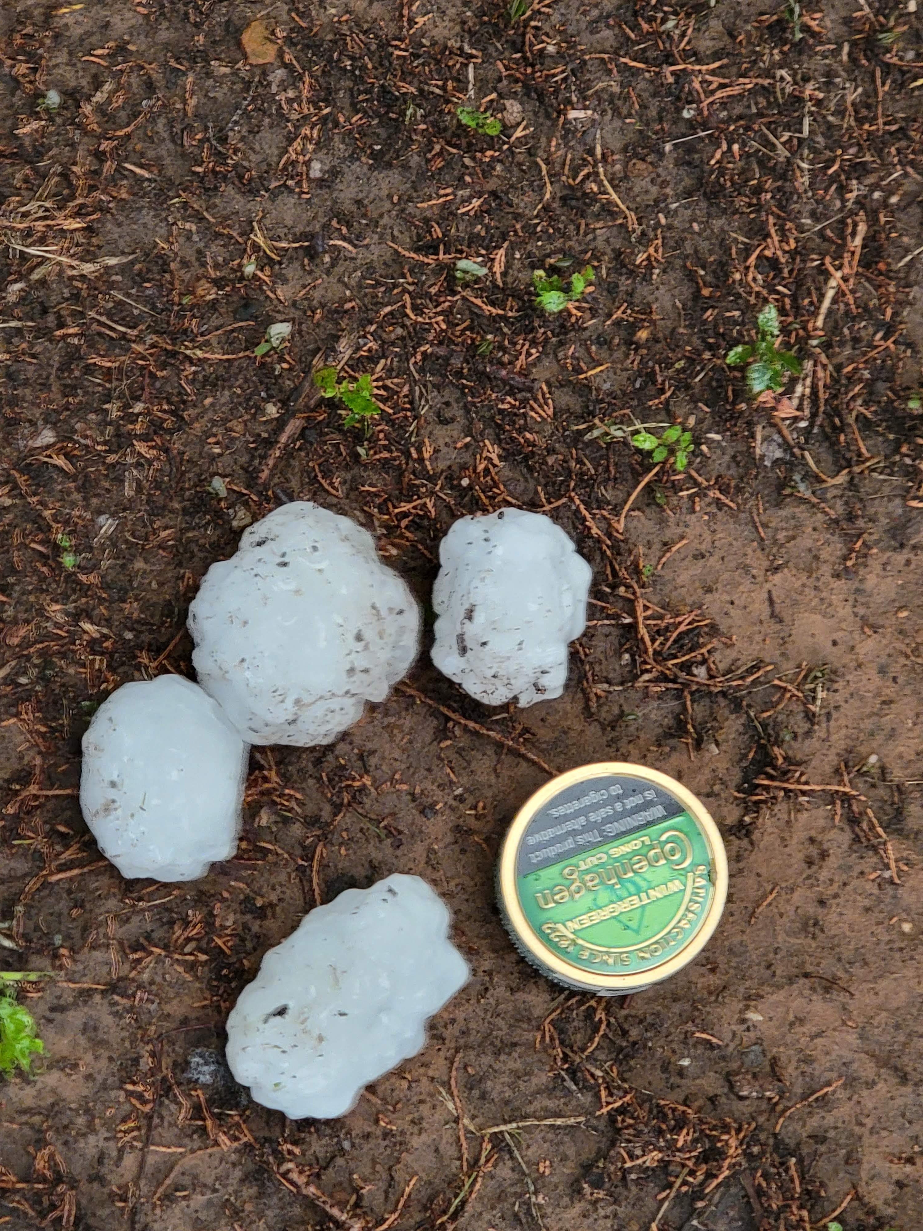 Just north of Grapevine Lake.  The can used for scale measures 2.5 inches.