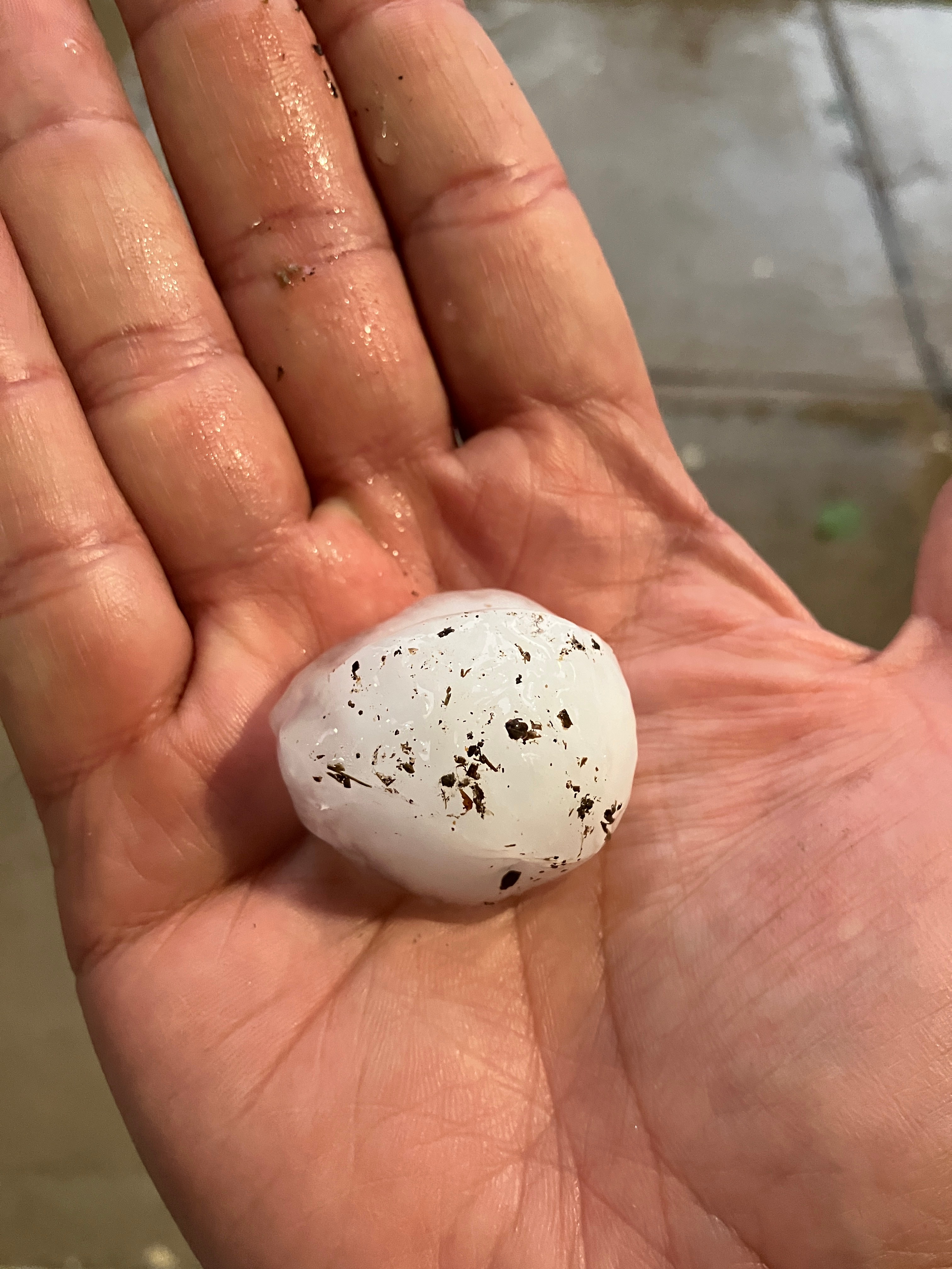 8:30 pm hail storm in Flower Mound. Morriss/4 th street.