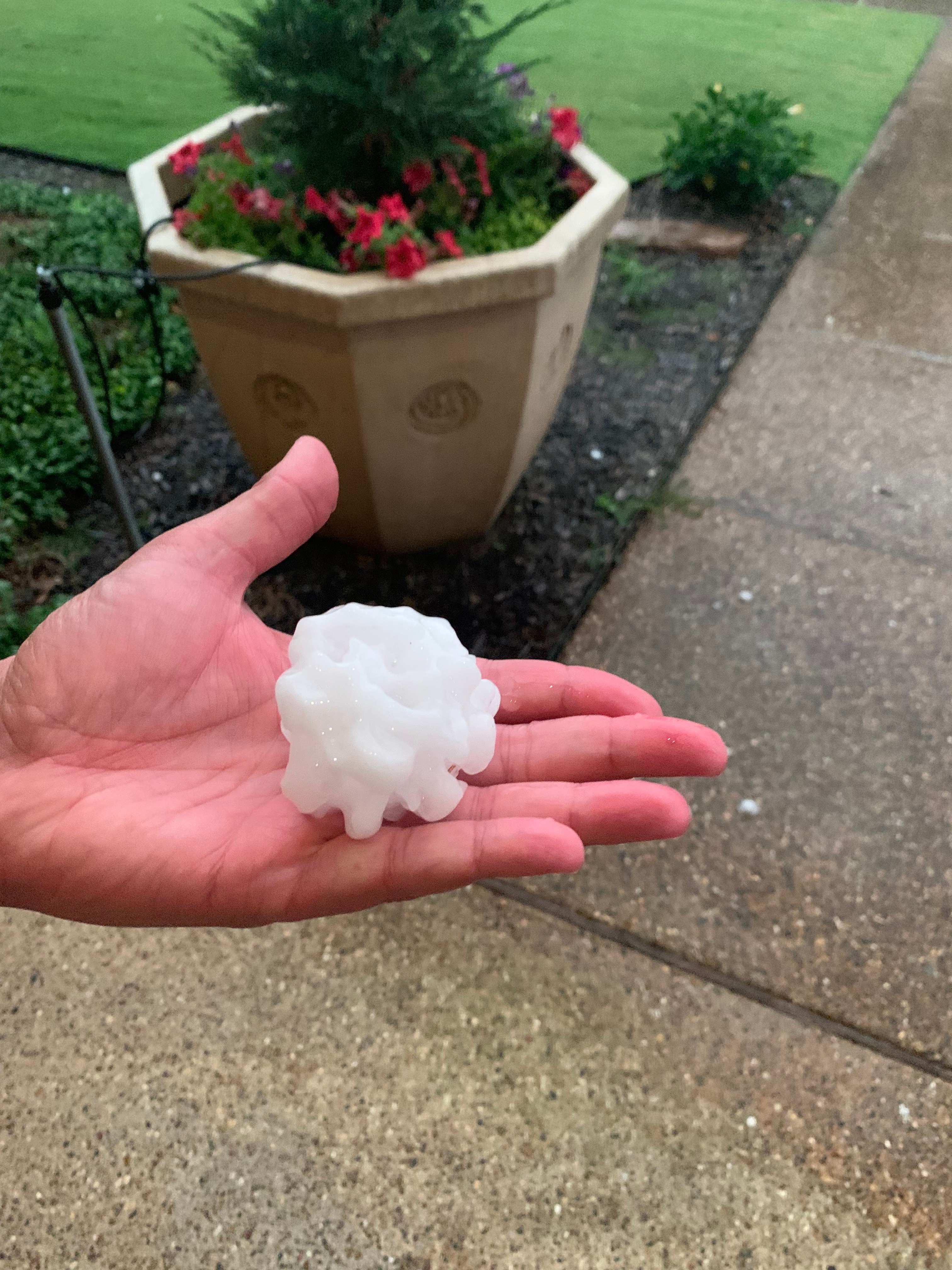 Lemon Sized hail in Highland Village Yikes!! Varied from nickel to baseball, most were lemon sized.