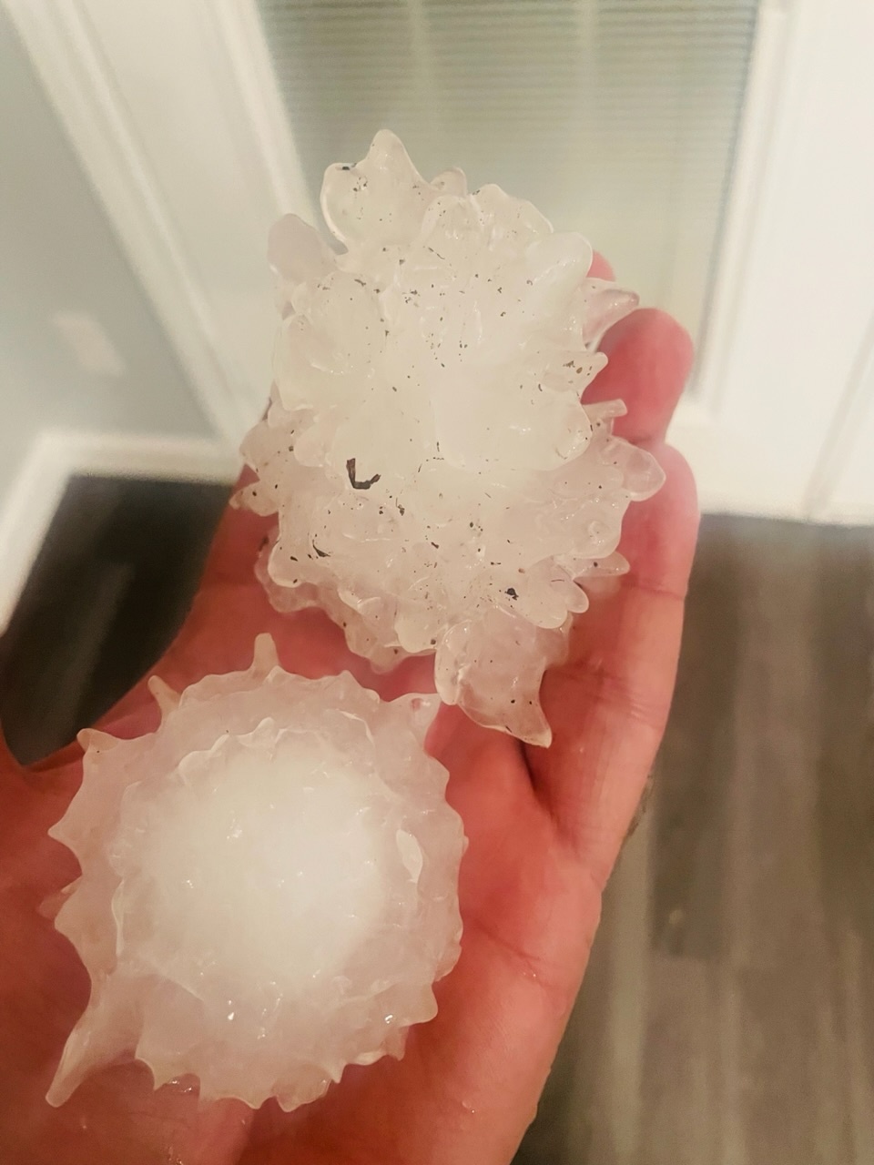 Large hail that fell in West Frisco tonight