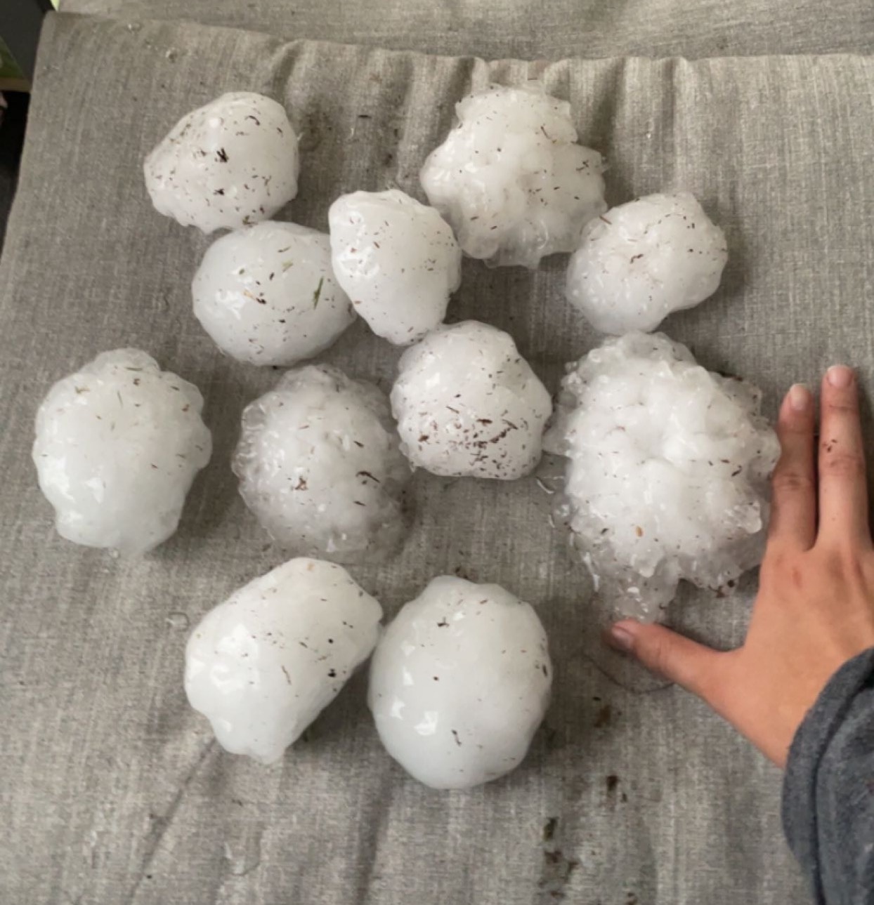 Hail in flower mound larger than my hand