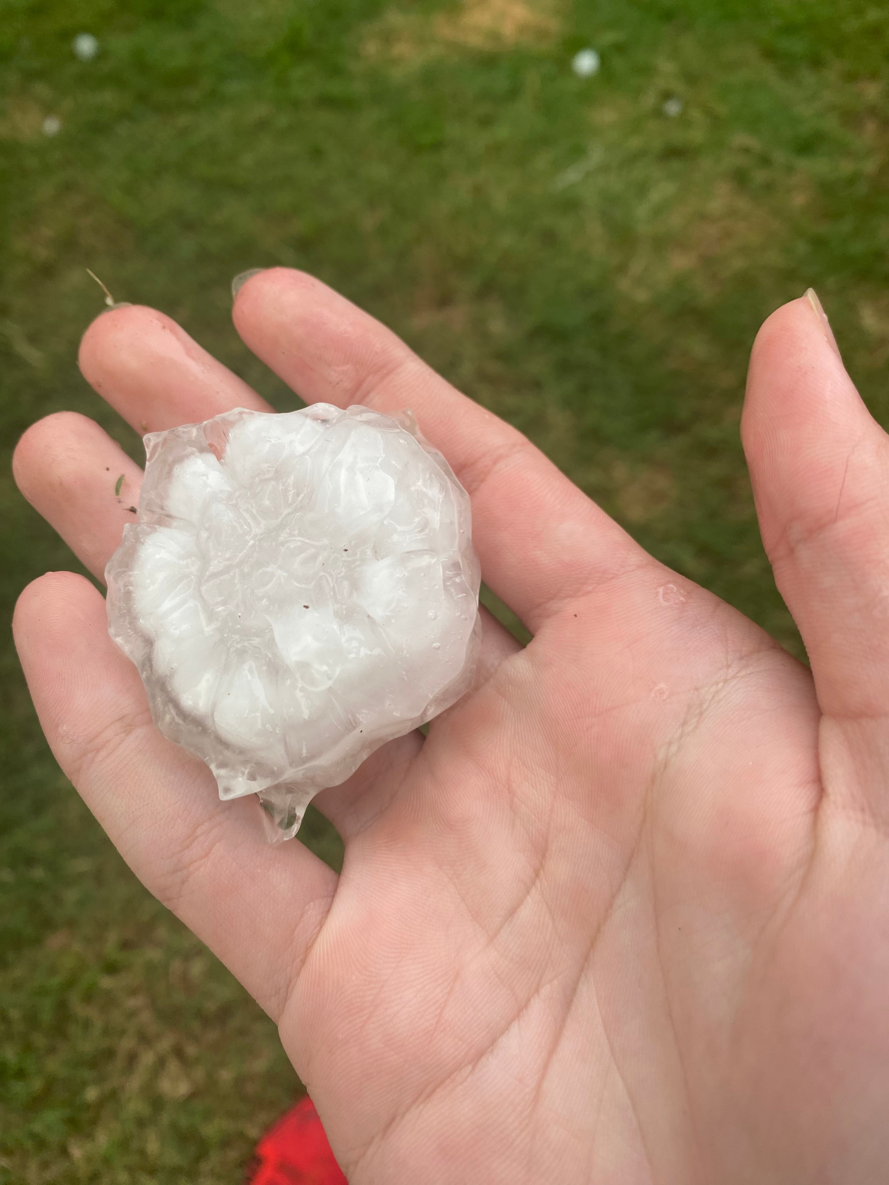 This is a hailstone that fell in my backyard during last night’s storm around 7:30pm.