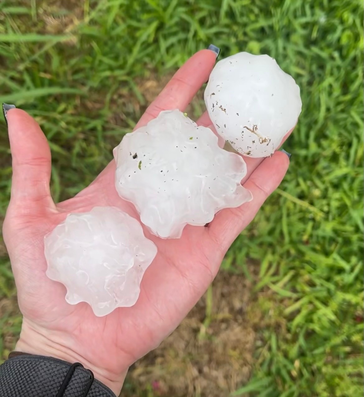 Hail in Waxahachie, Tx