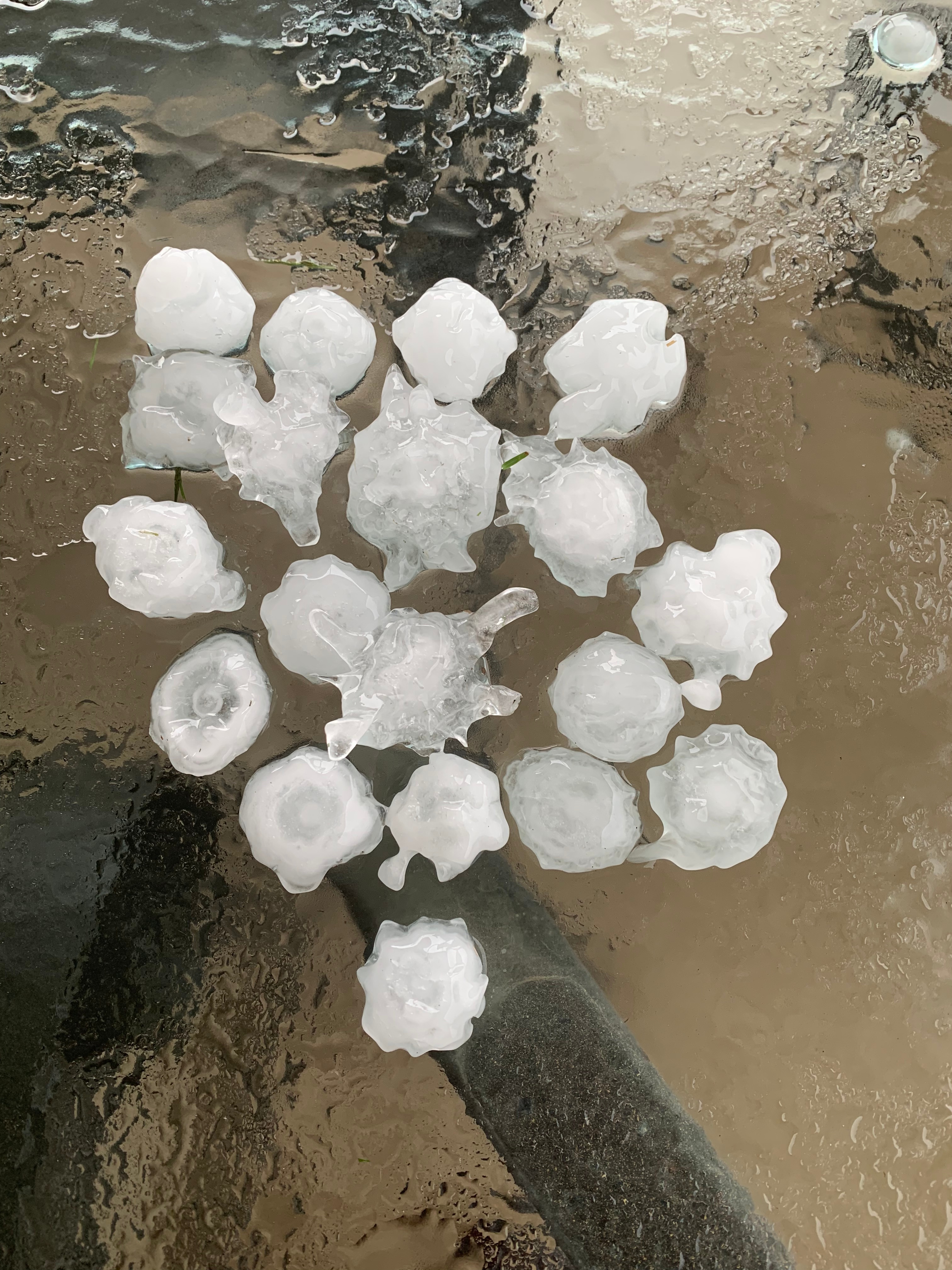 Golf ball size hail that fell in Chatfield, TX (near Rice).