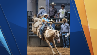 Texas Black Invitational Rodeo 2023