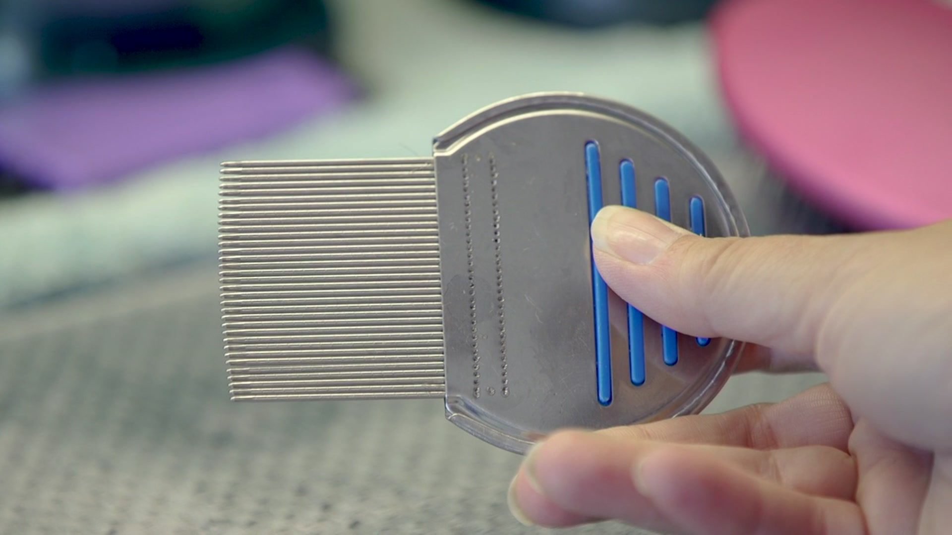 Got lice? This is how to treat for head lice NBC 5 DallasFort Worth