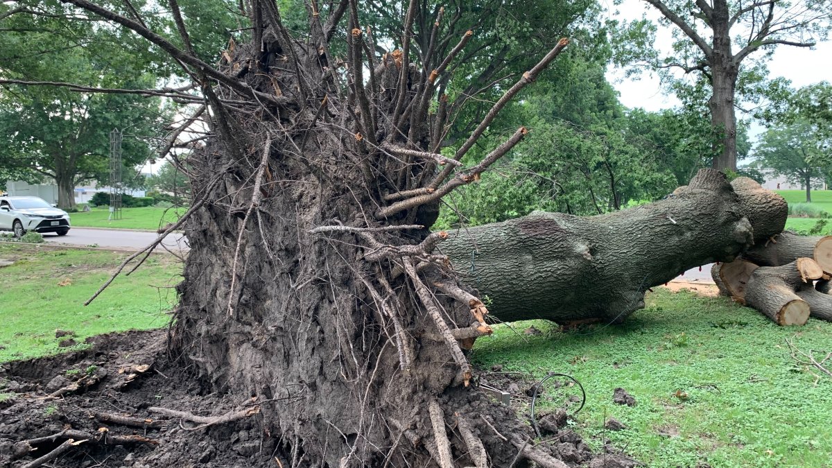 Thousands without power in Navarro County after severe storms – NBC 5 ...