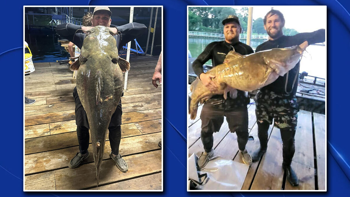 Catfish noodlers make record-breaking 98-pound catch at Lake Tawakoni – NBC  5 Dallas-Fort Worth